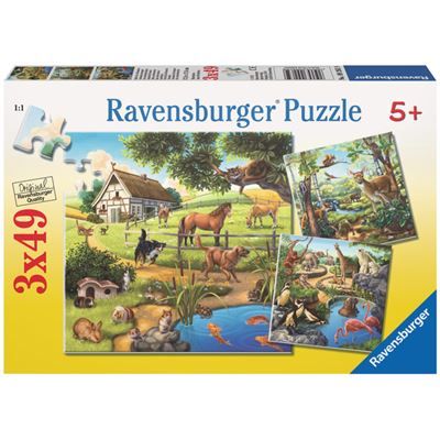 Spiel 60143.0
